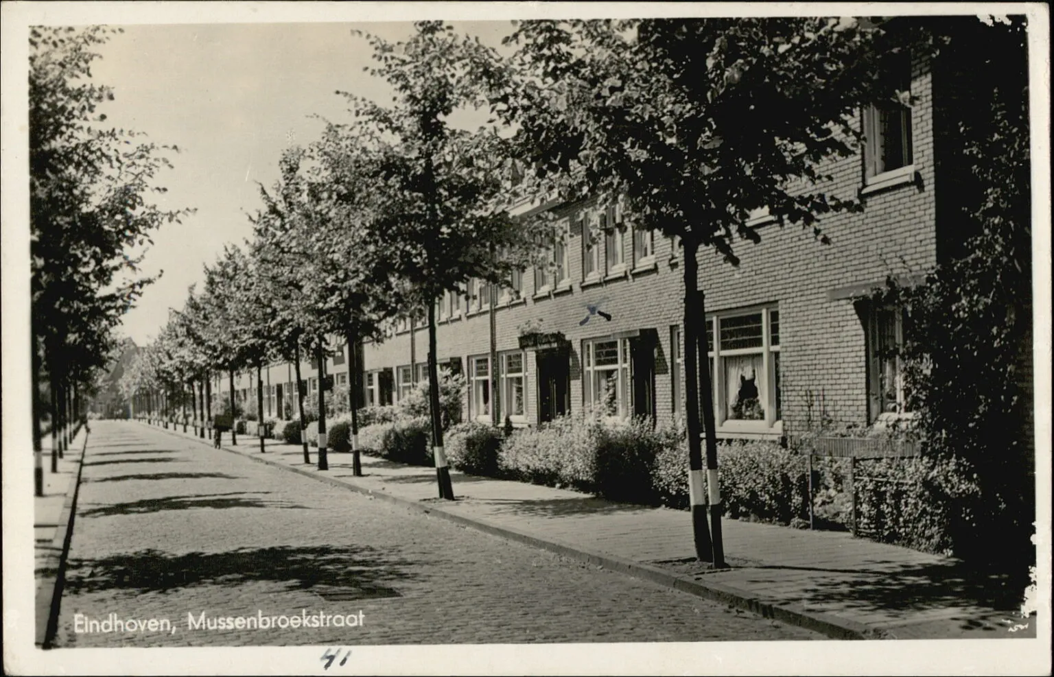 Ansichtkaart van de wijk, jaren veertig/vijftig