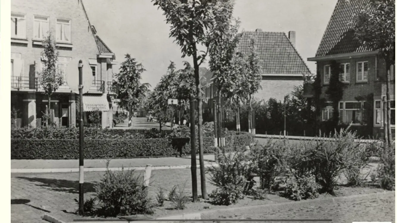 Archieffoto van Franklin uit de beeldbank Eindhoven in Beeld