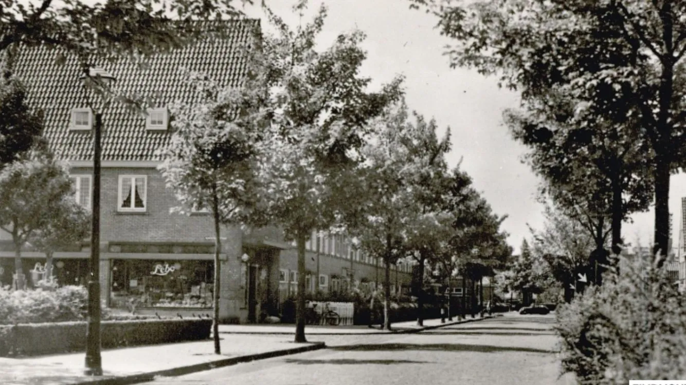 Archieffoto van Franklin uit de beeldbank Eindhoven in Beeld