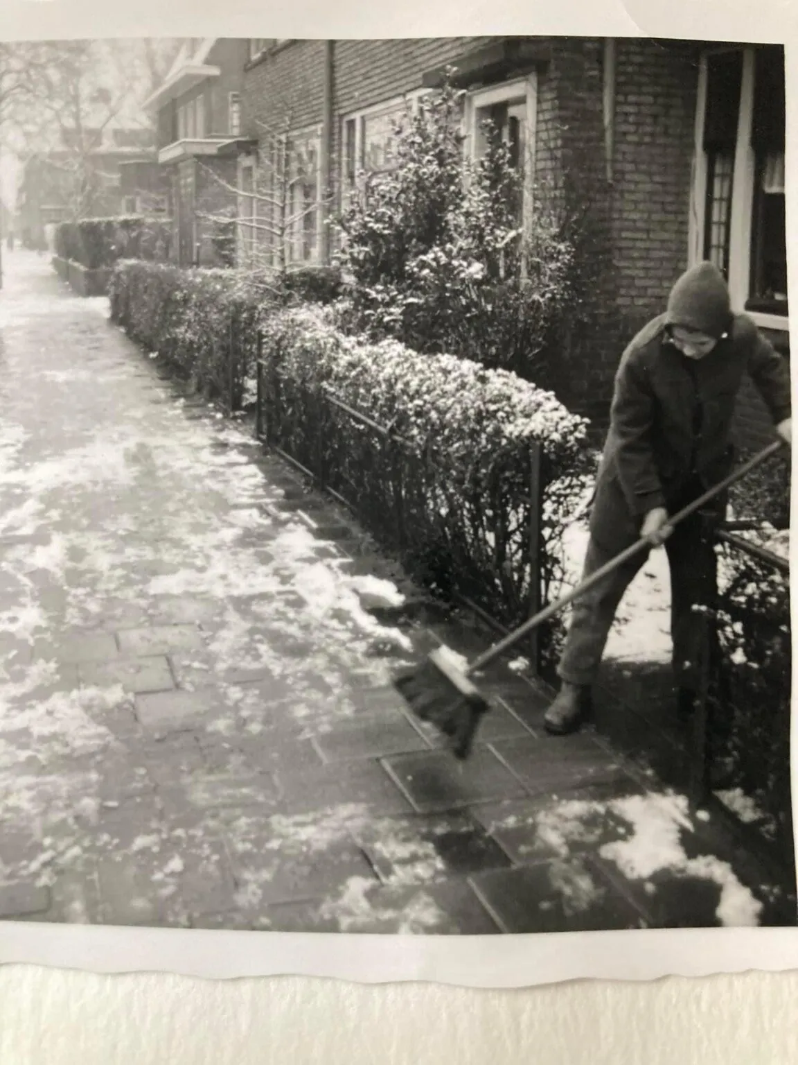 Archieffoto van Franklin uit de beeldbank Eindhoven in Beeld