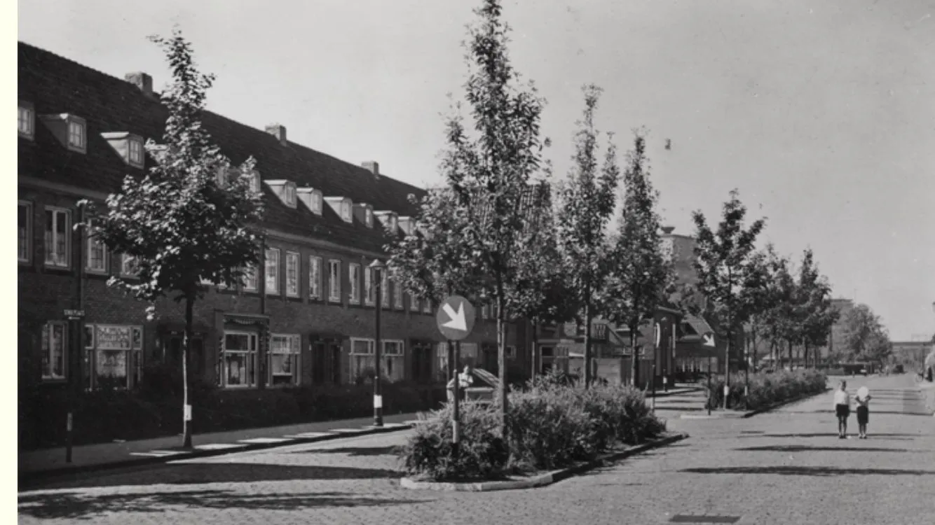 Archieffoto van Franklin uit de beeldbank Eindhoven in Beeld