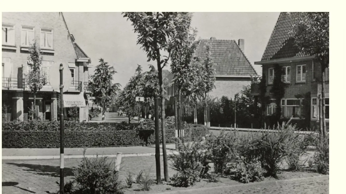 Archieffoto van Franklin uit de beeldbank Eindhoven in Beeld