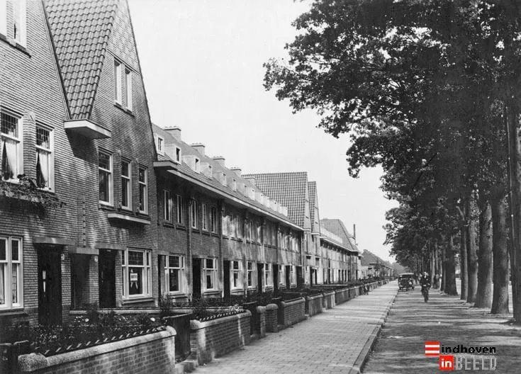 Archieffoto van Franklin uit de beeldbank Eindhoven in Beeld