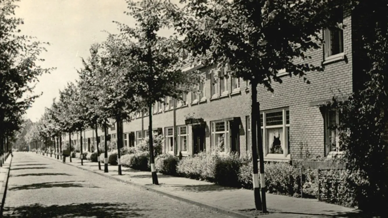 Archieffoto van Franklin uit de beeldbank Eindhoven in Beeld